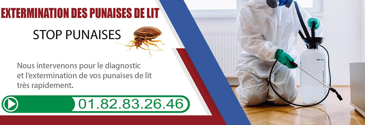 Punaises de Lit Le Plessis Trevise 94420